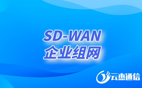 sdwan路由器组网-sdwan组网设备-sdwan组网搭建缩略图 sdwan路由器组网-sdwan组网设备-sdwan组网搭建缩略图