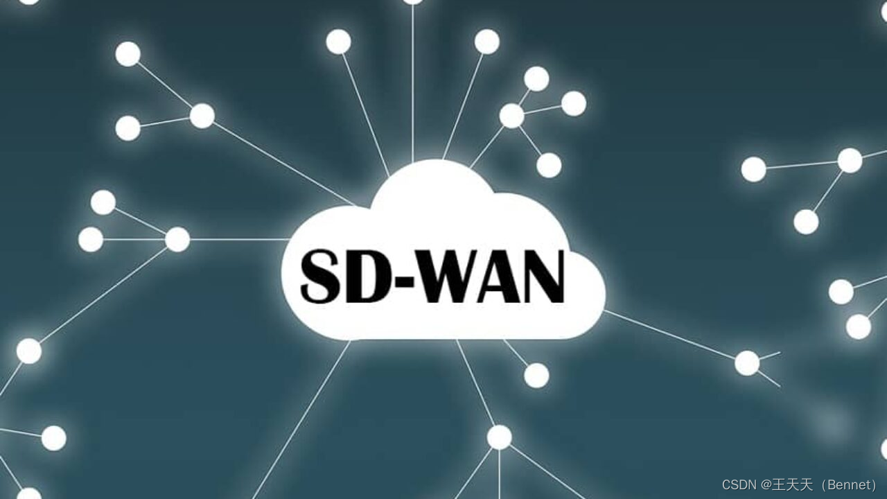 网络技术-SD-WAN系统介绍缩略图